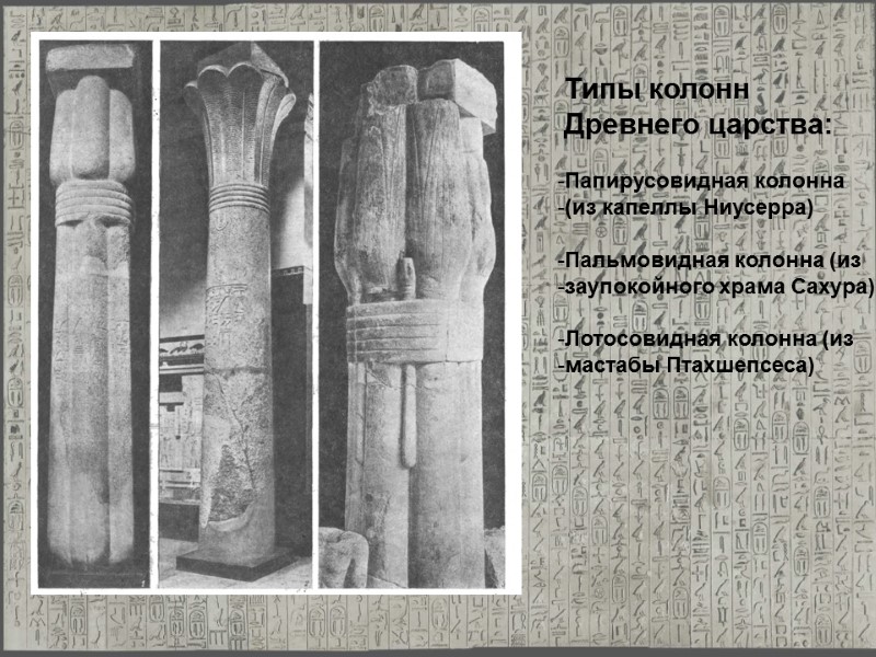 Типы колонн Древнего царства: Папирусовидная колонна  (из капеллы Ниусерра)  Пальмовидная колонна (из